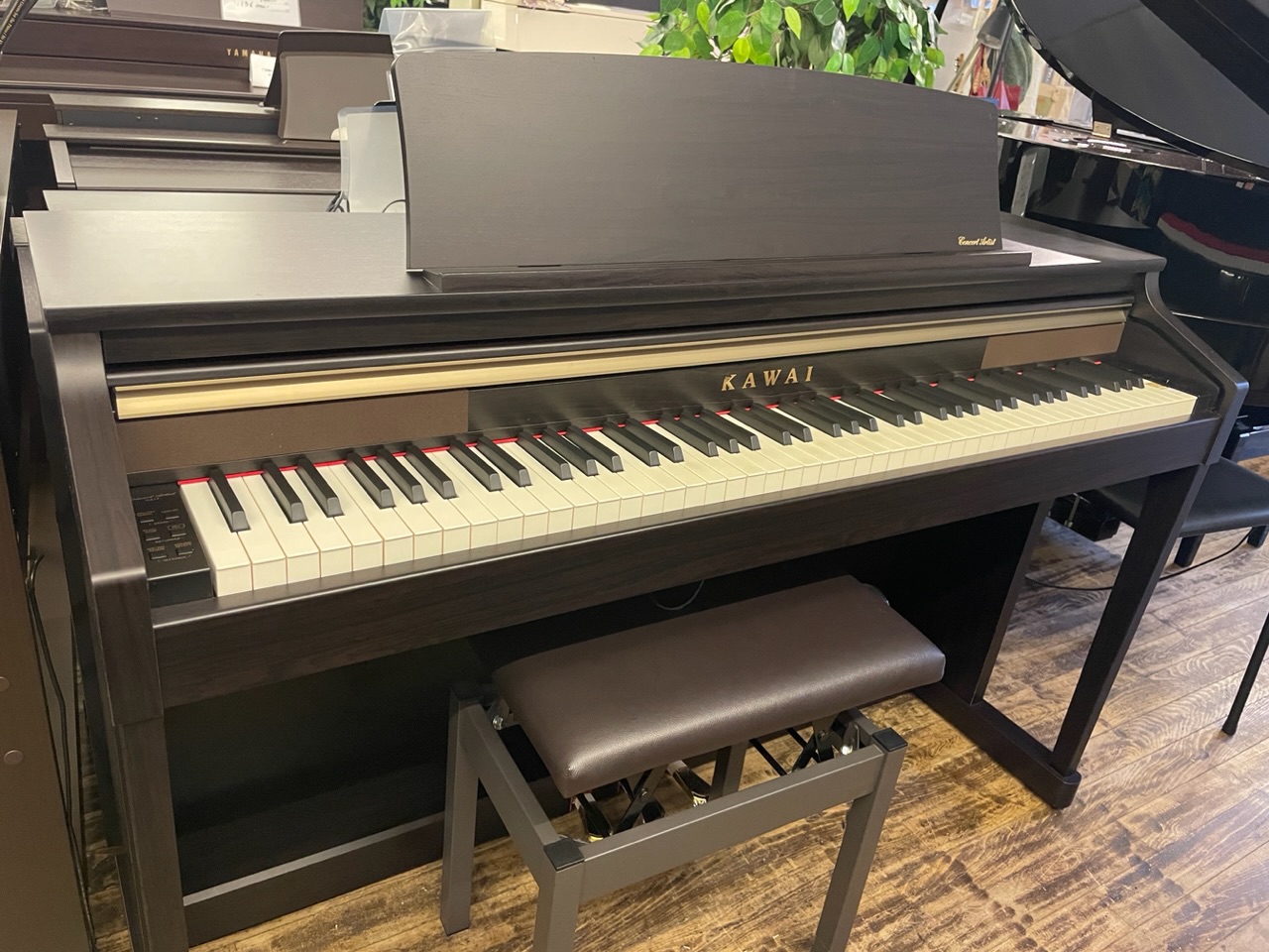 KAWAI CA17R